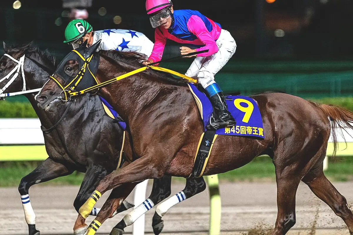 【JRA】メイショウハリオが現役引退、種牡馬入り