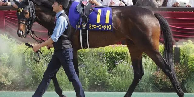 【マーメイドS予想2024】ミッキーゴージャス力上位、成長力にも期待