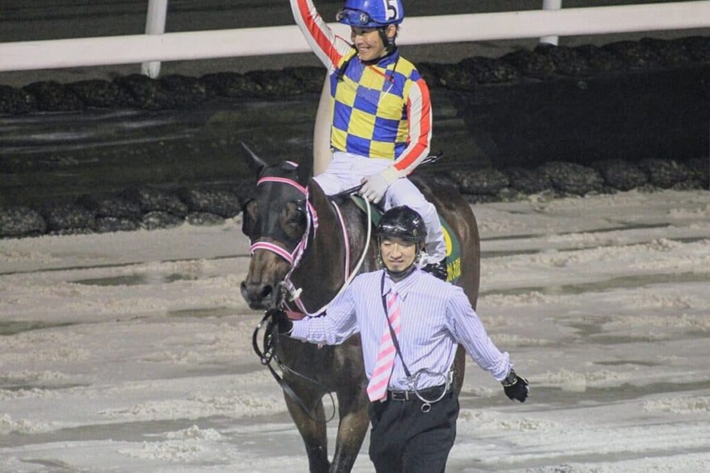 シャマルはマイルCS南部杯からJBCスプリントへ