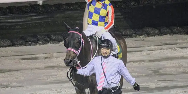 シャマルはマイルCS南部杯からJBCスプリントへ