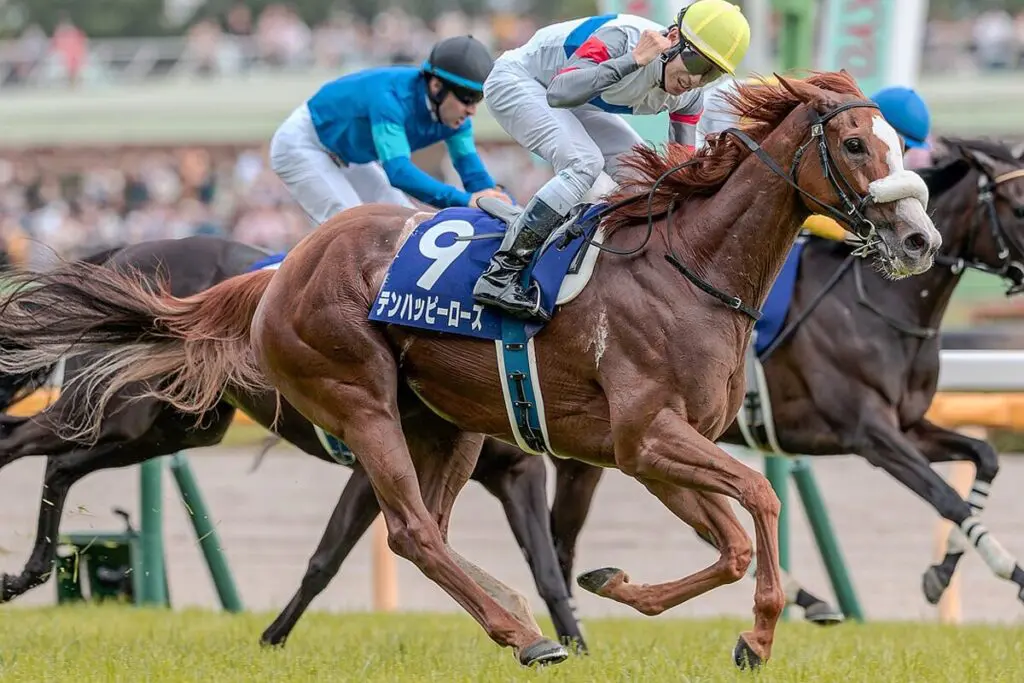 テンハッピーローズが引退、社台ファームで繁殖入り