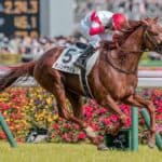 【JRA】ダノンデサイルは有馬記念へ、放馬トラブルも影響なし