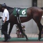 【東京新聞杯2026予想】雪残る馬場で浮上！主役はエルトンバローズ