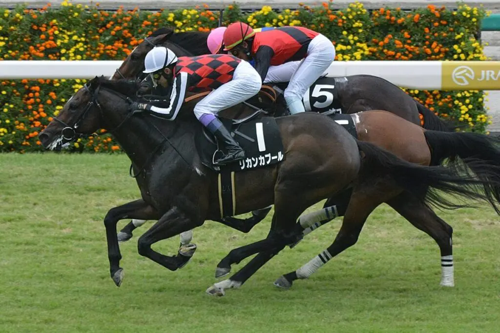【オールカマー2024予想】叩き2戦目＆中山コースでチャンスあり？伏兵リカンカブールの激走期待