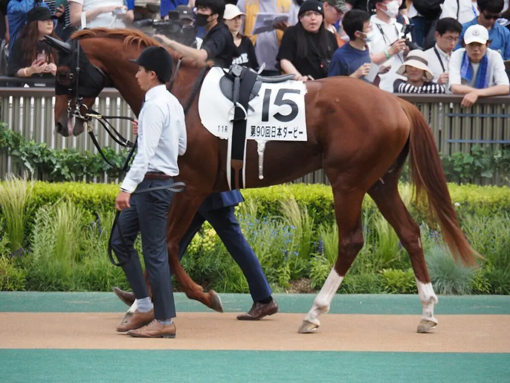 七夕賞・3着のノッキングポイントが屈腱炎を発症、9ヶ月以上の休養を要する見込み