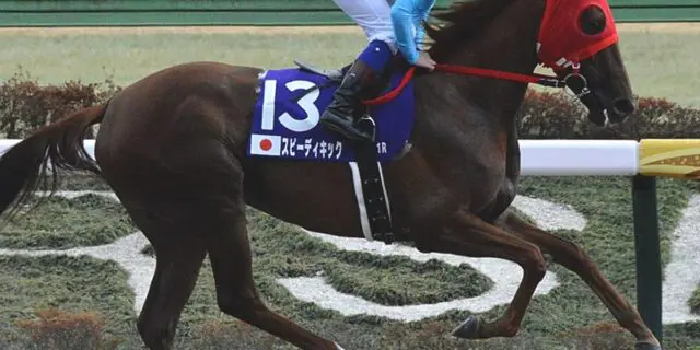 【スパーキングレディーC予想2024】南関東が誇る女傑・浦和のスピーディキックの雪辱Vに期待