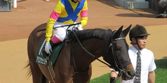 【クイーンS2025】アリスヴェリテ勝負気配、1週前追い切りで態勢整う