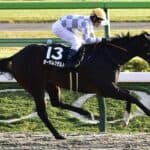 【ブリーダーズゴールドC2025予想】女王オーサムリザルト、連覇へ視界良好！