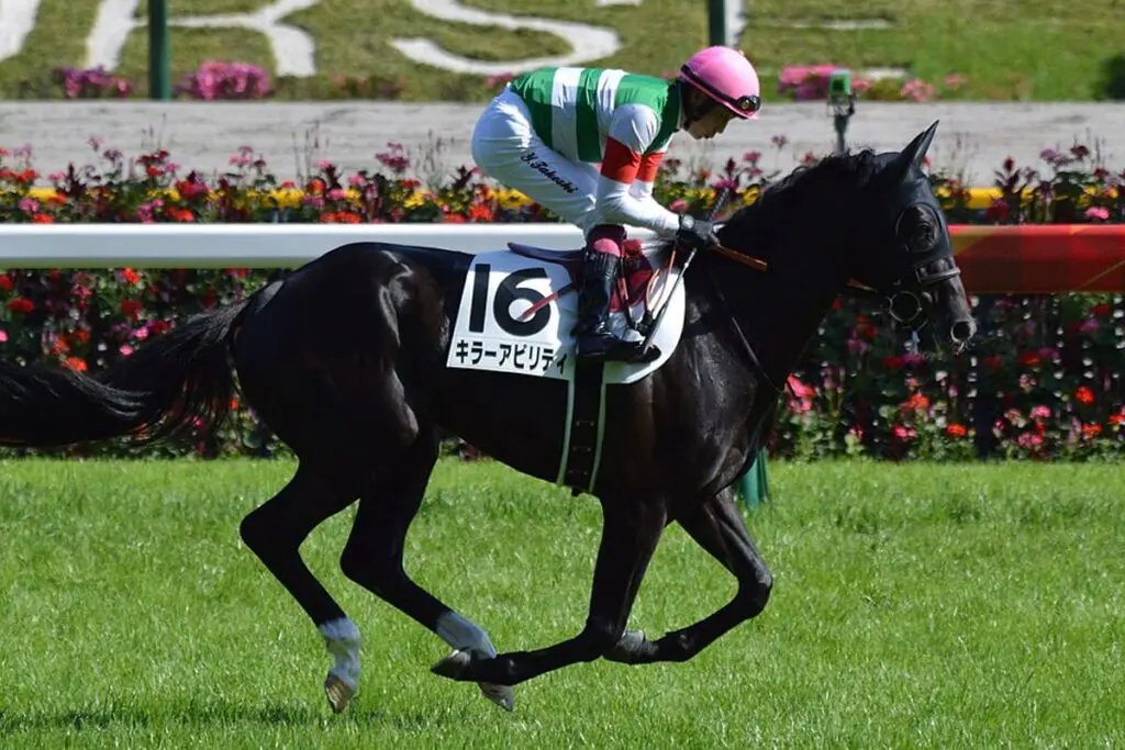 キラーアビリティが引退、今後はインドで種牡馬入りへ