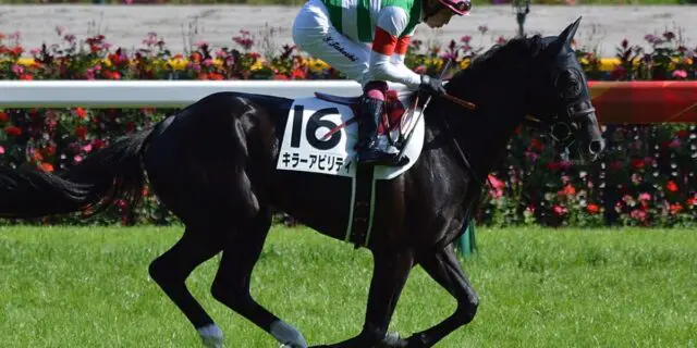 キラーアビリティが引退、今後はインドで種牡馬入りへ