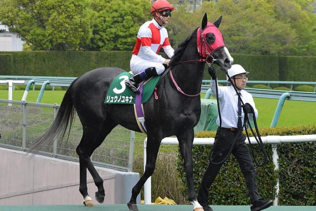 ダートの古豪リュウノユキナが引退、種牡馬入り