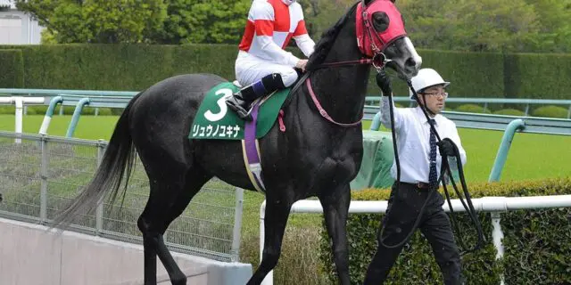 ダートの古豪リュウノユキナが引退、種牡馬入り