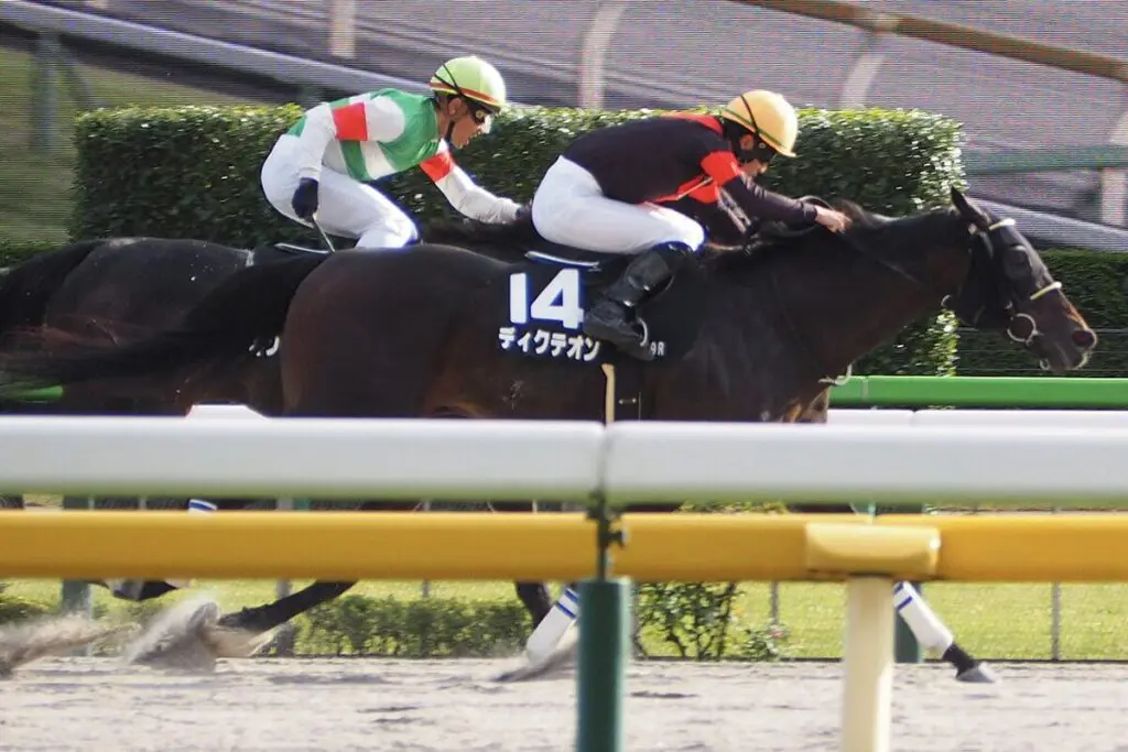 【浦和記念2024予想】前年覇者ディクテオンが連覇をかけて参戦！