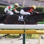 【東京大賞典2025予想】打倒JRA勢の筆頭はディクテオン、大井は絶好舞台