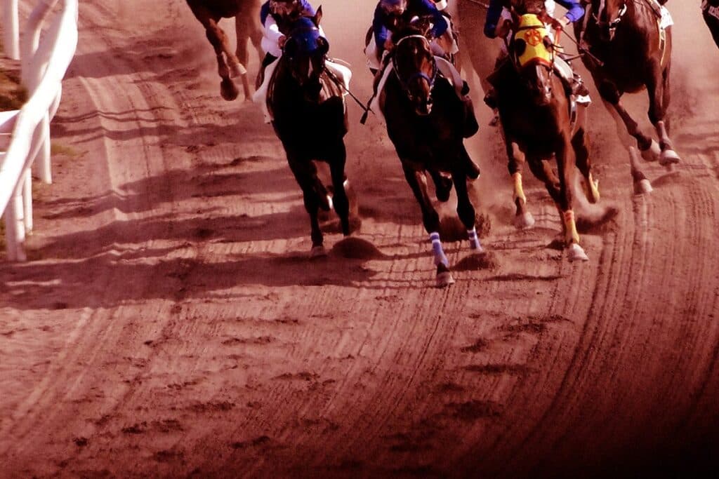 【コーラルステークス予想2025】人気馬の信頼度は低く波乱必死の一戦か？