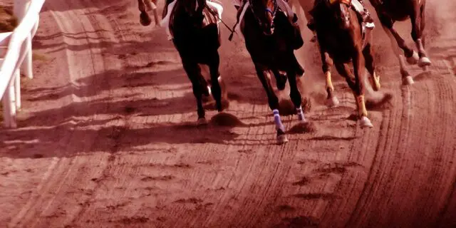 【ジャパンダートクラシック予想2025】王者の座を守れるか？ナチュラルライズに迫る強敵3頭に注目