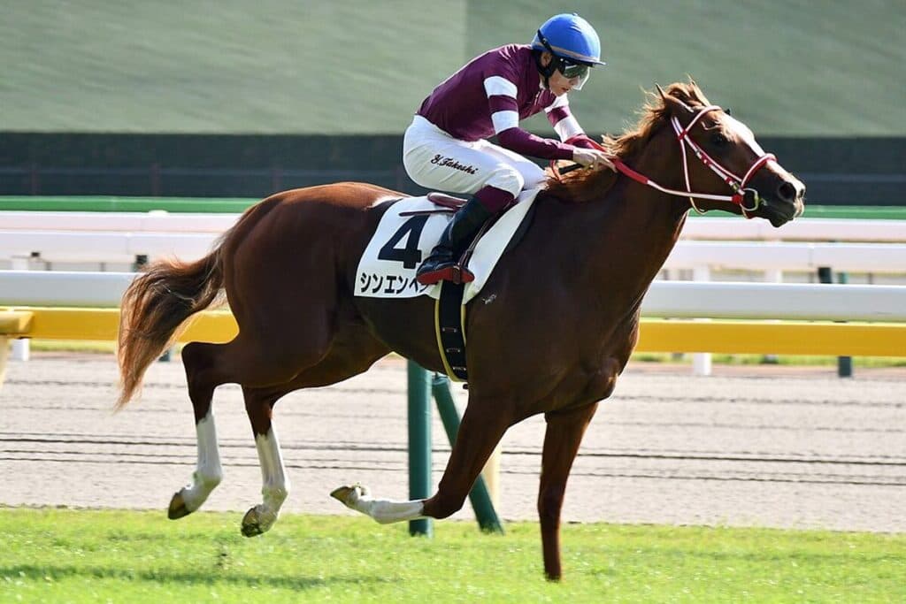 シンエンペラー✕坂井瑠星騎手は愛チャンピオンSから凱旋門賞、昨年と同様のローテーションで雪辱へ