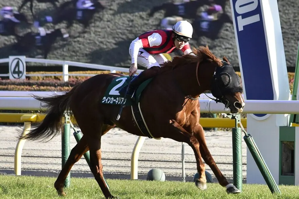 【スプリンターズS2024】ウインカーネリアンが歩様の乱れで回避、次走はスワンSへ