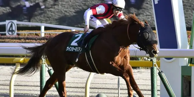 【スプリンターズS2024】ウインカーネリアンが歩様の乱れで回避、次走はスワンSへ