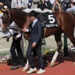 アルナシームが右前脚の種子骨靱帯炎で有馬記念を無念の回避、今後は未定