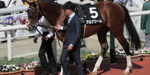 アルナシームが右前脚の種子骨靱帯炎で有馬記念を無念の回避、今後は未定