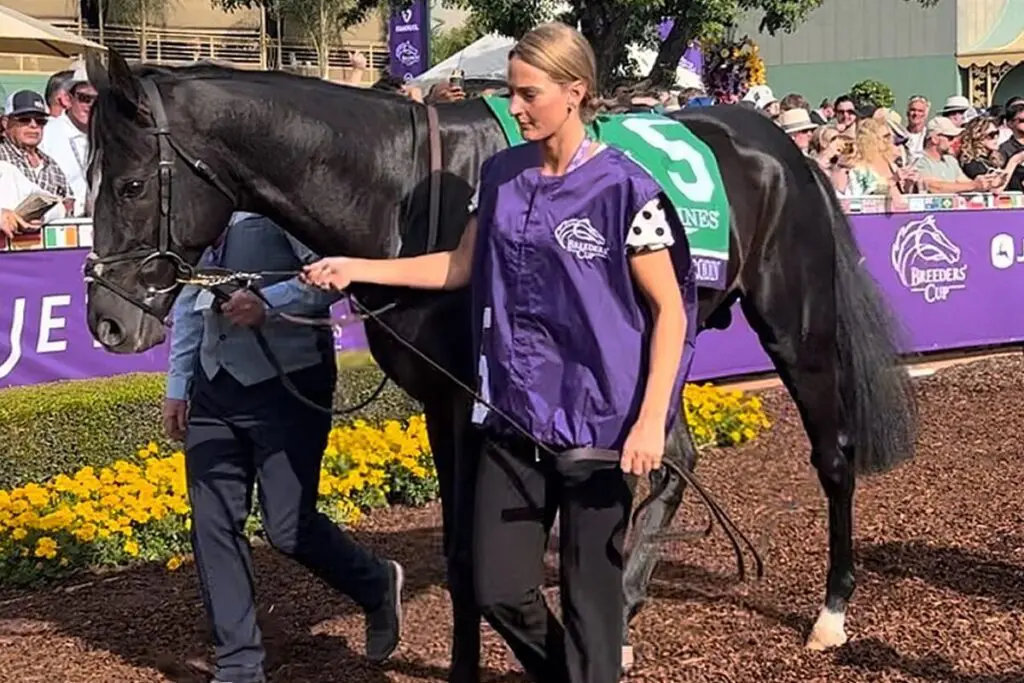 【凱旋門賞2024】オーギュストロダンが回避、ジャパンCへ直行