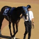 【JRA】ボンドガール巻き返しなるか？次走はヴィクトリアマイルか新潟大賞典へ