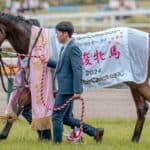 【マイルCS2025】チェルヴィニアはT.マーカンド騎手との新コンビで参戦