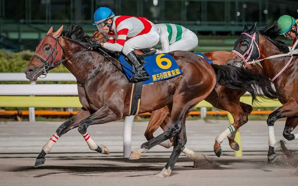 【クラスターC予想2025】チカッパ✕武豊騎手、1200mで意地の挽回戦！