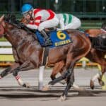 【根岸ステークス予想2026】狙い目はチカッパ、展開ひとつで上位進出