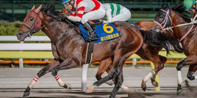 【根岸ステークス予想2026】狙い目はチカッパ、展開ひとつで上位進出