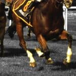 【府中牝馬S予想2024】差し馬多数のメンバー構成、アスコルティアーモの先行抜け出しに期待