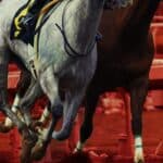 【JBCクラシック予想2025】実力伯仲の激戦必至！連覇狙う王者vs勢いある挑戦者たち