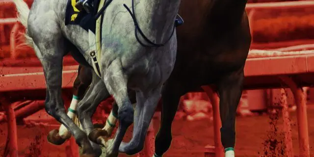 【すばるS予想2026】実績か勢いか？有力馬2頭に注目！