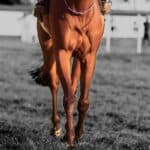 【シンザン記念2026予想】モノポリオ、距離短縮はプラスか？