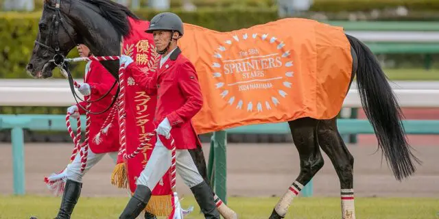 【京阪杯2025予想】ルガル復活なるか？メンバー弱化のここは試金石