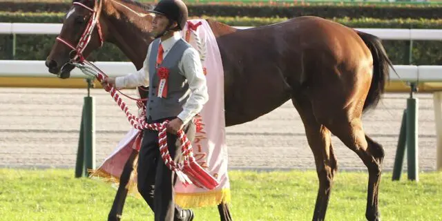 【オクトーバーS予想2024】紅一点ラヴェルは地力上位、“牝馬不振”のデータ覆せるか？