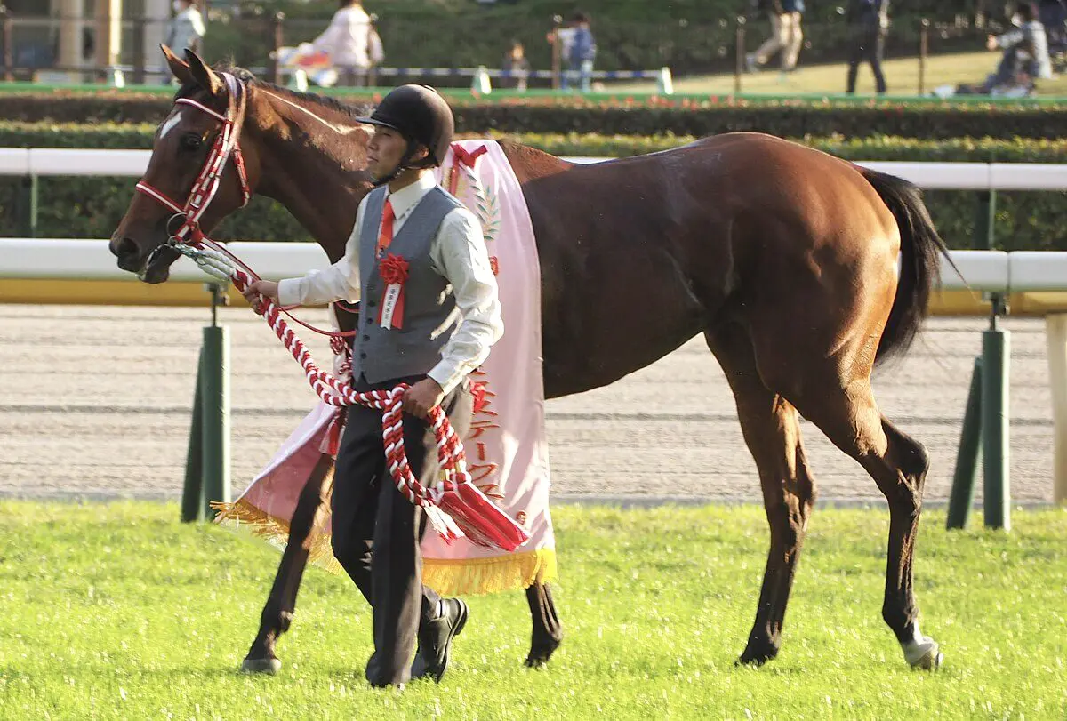 【オクトーバーS予想2024】紅一点ラヴェルは地力上位、“牝馬不振”のデータ覆せるか？