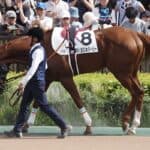 【天皇賞秋2025予想】アーバンシック、仏からの刺客A.プーシャン騎手と新コンビで復活狙う