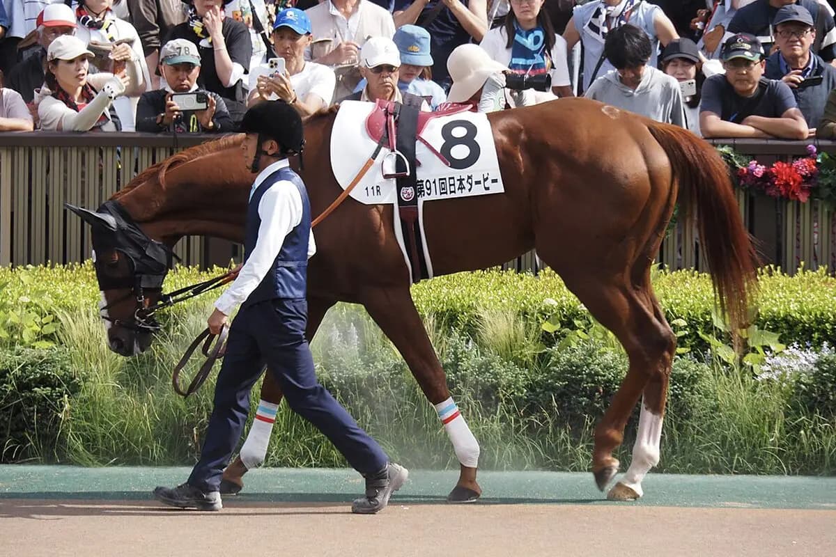 【香港ヴァーズ2025予想】菊花賞馬アーバンシック、コース適性見込めるか？
