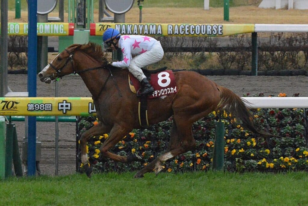 【JRAマイルCS予想2024】可能性秘めた穴馬に注目！人気の盲点マテンロウスカイに要警戒