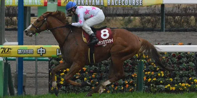 【JRAマイルCS予想2024】可能性秘めた穴馬に注目！人気の盲点マテンロウスカイに要警戒