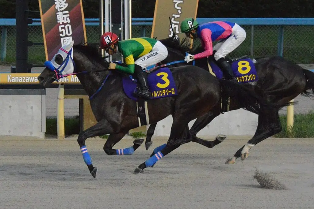 帝王賞・5着のウィルソンテソーロはマイルCS南部杯へ