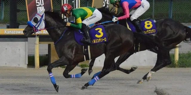 帝王賞・5着のウィルソンテソーロはマイルCS南部杯へ