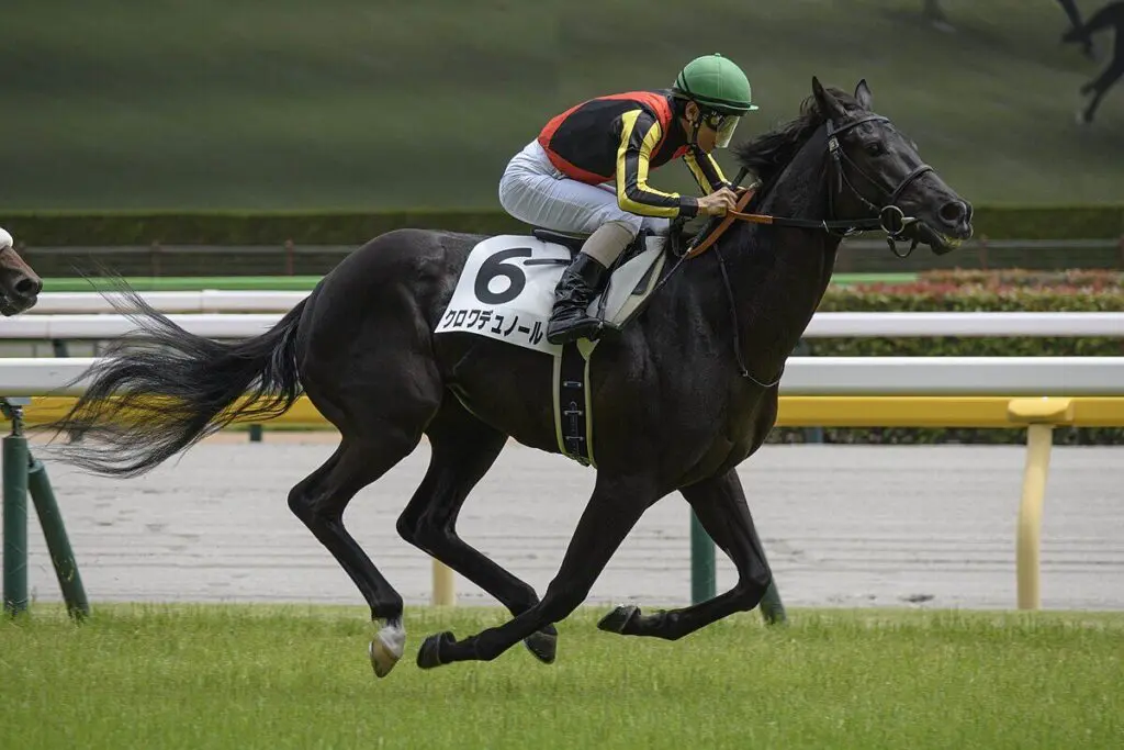 【日本ダービー2025予想】クロワデュノール絶好条件！持続力勝負なら勝ち負け