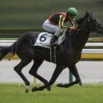 【大阪杯2026予想】クロワデュノール完全復活なるか？実力・仕上がりともに最上位