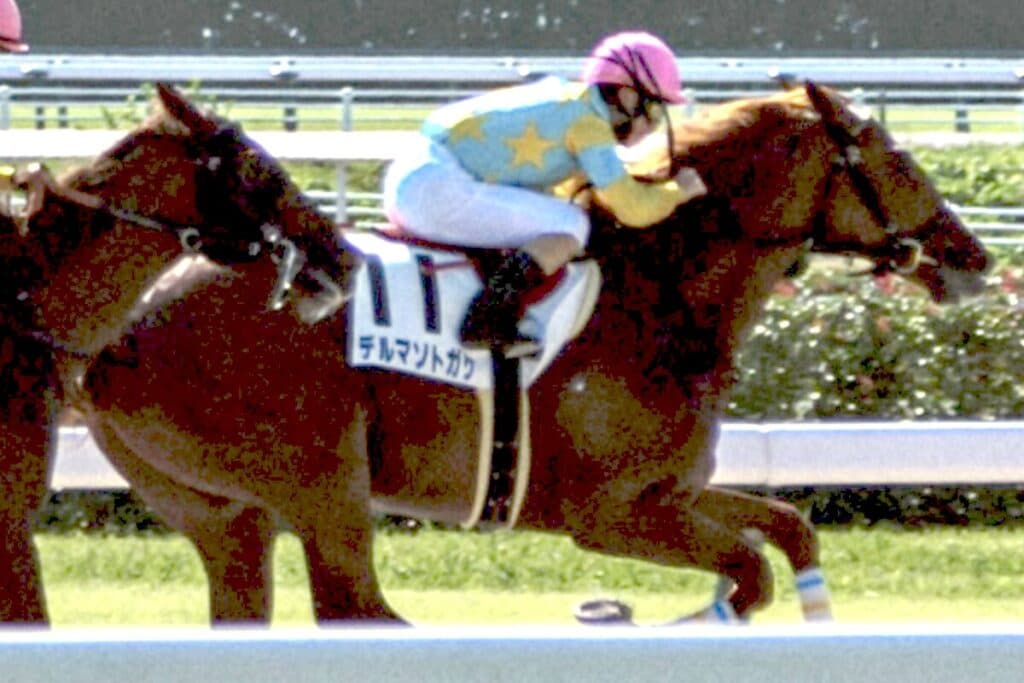 【東京大賞典2024予想】デルマソトガケの大逃げあるか？！