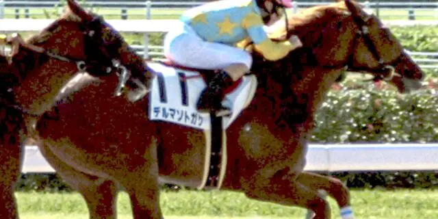 【東京大賞典2024予想】デルマソトガケの大逃げあるか？！