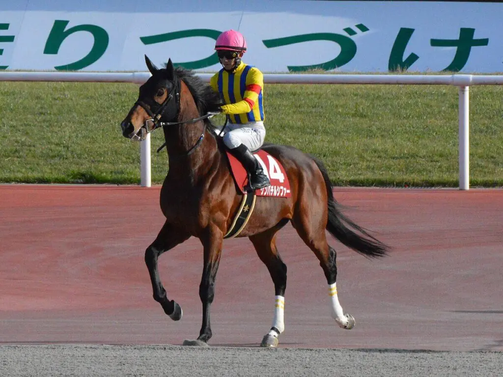 【JRA】ゲンパチルシファーが引退、今後は乗馬に