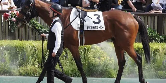 【中山金杯2025予想】ホウオウビスケッツ地力上位も、ハンデ59.5kgで乗り替わりと不安要素多し